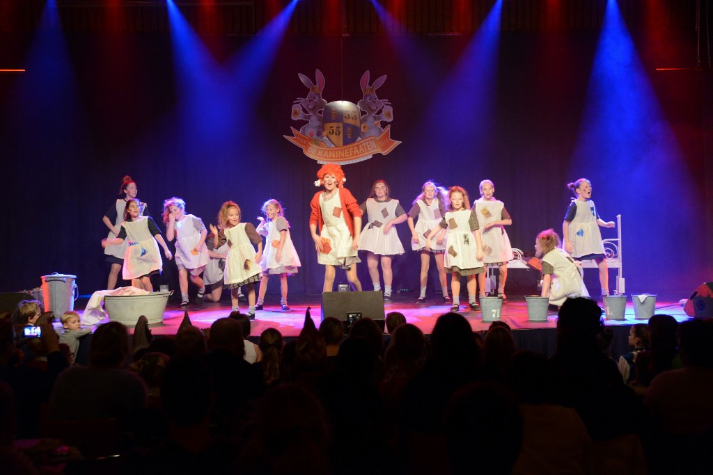 ../Images/Dansmarieke festival 2015 394.jpg